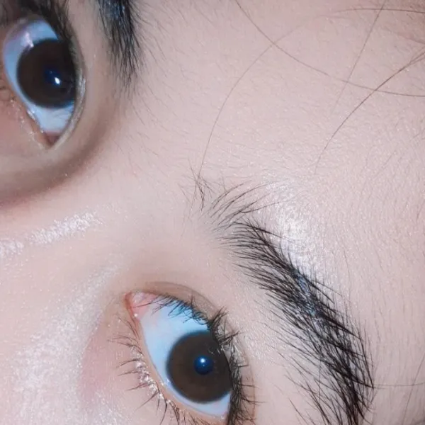 Yapp