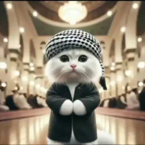 Eko Ajalah