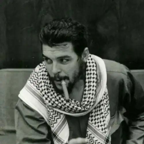 Van Animasi