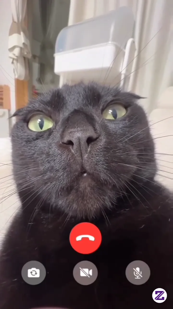 Cipa Phone