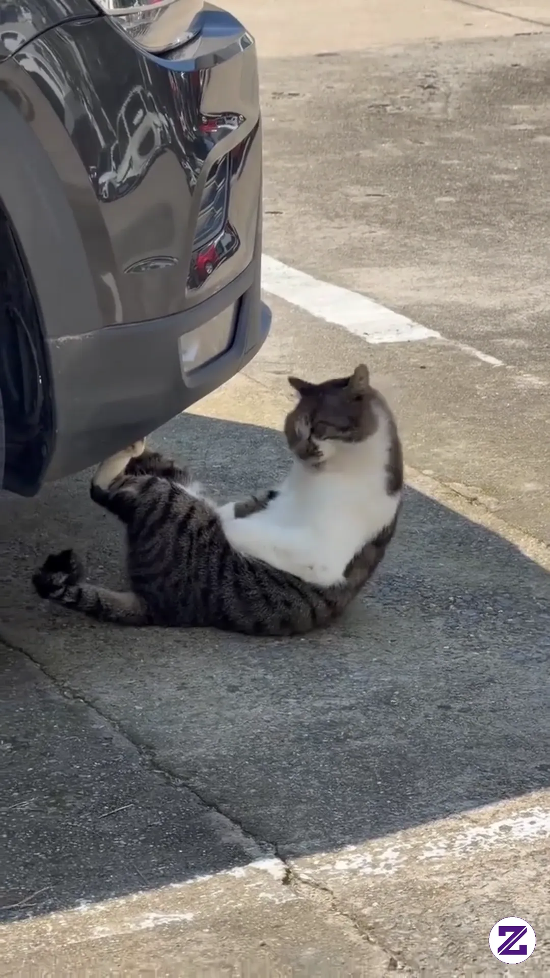 Bro Really Thinks He Owns This Car