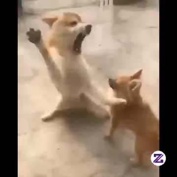 Don't Laugh 😭