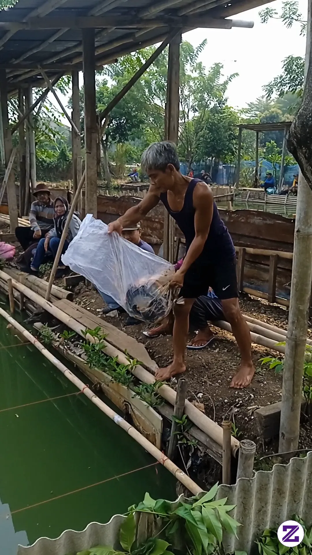 Penurunan Ikan Dasaran Seberat 10kg Ikan Bawal