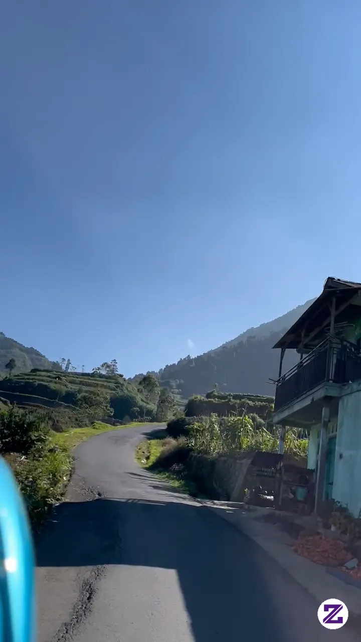 Siapa Yang Suka Ijo Ijo