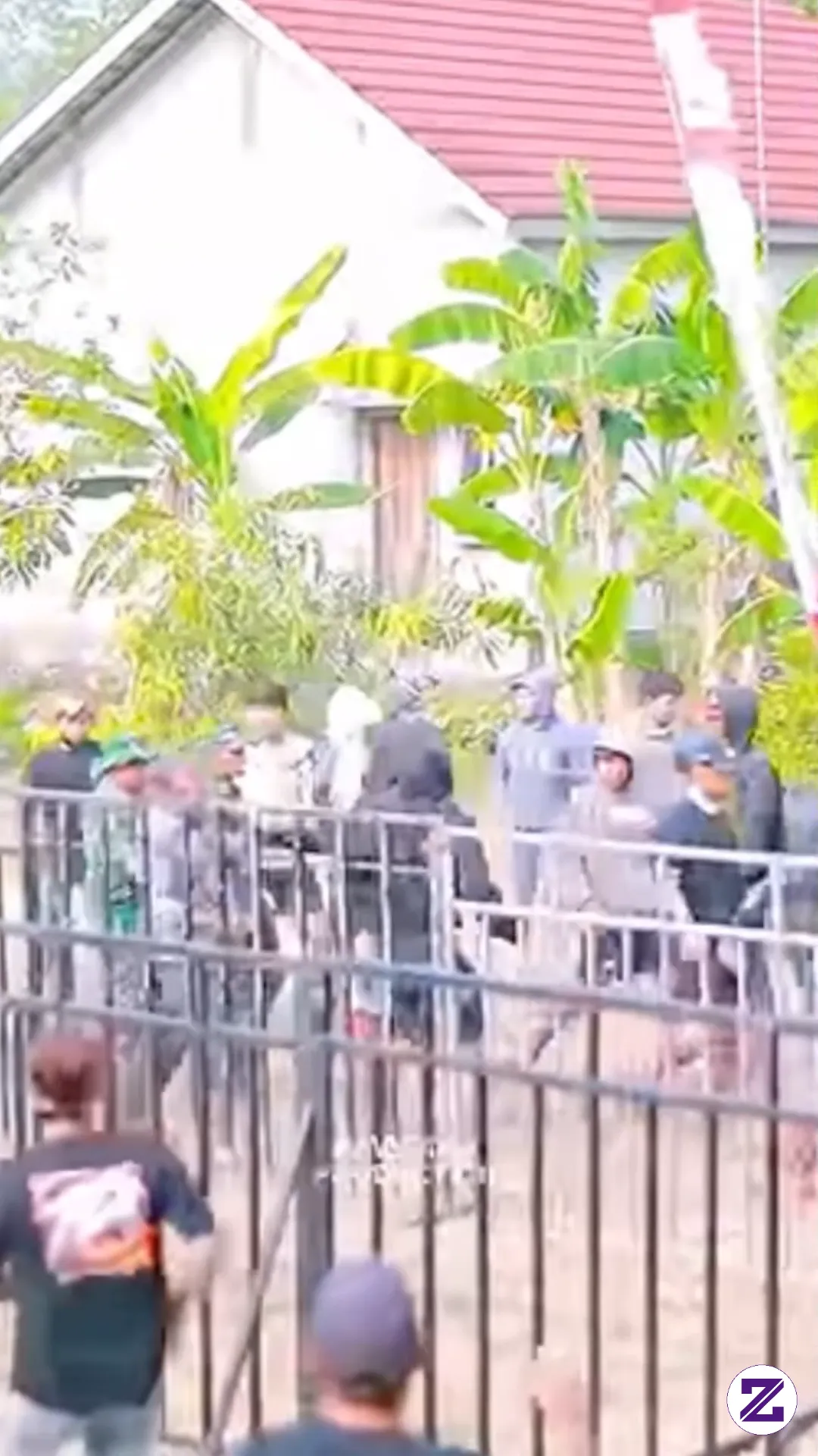 Provokasi Dari Luar Kandang Kepada Panitia Yang Di Dalam Kandang😡 #orkes