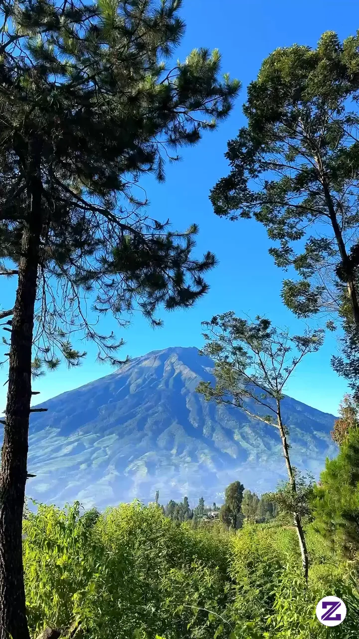 View Cantik