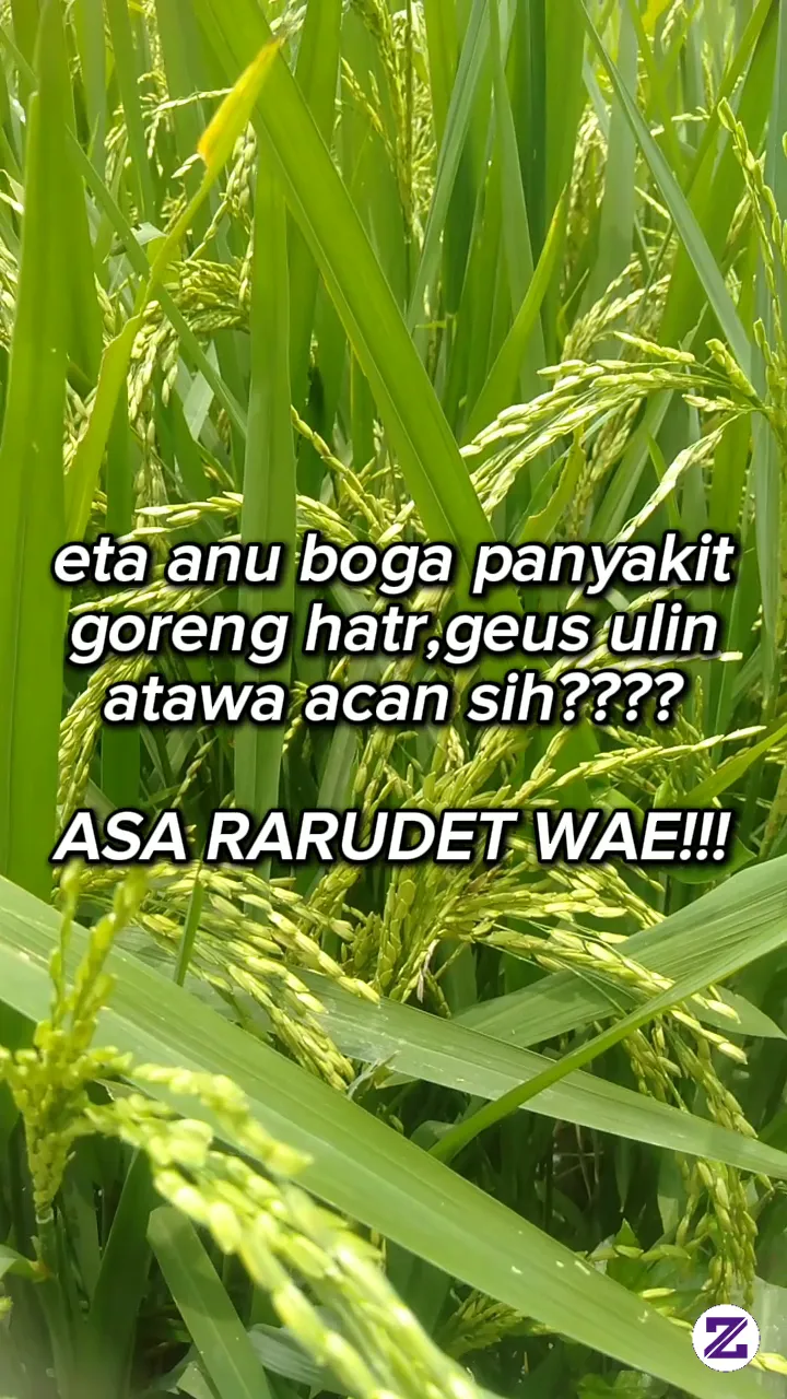 Udah Piknik Belum???