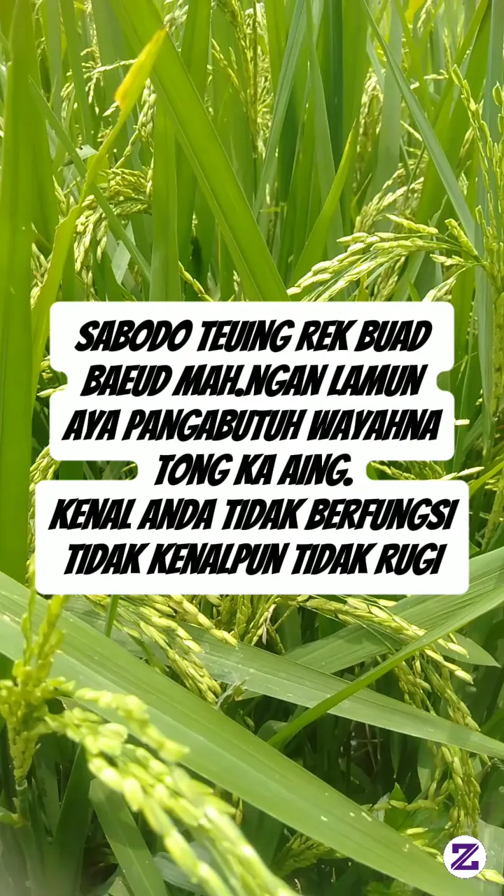 Sabodo Teuing