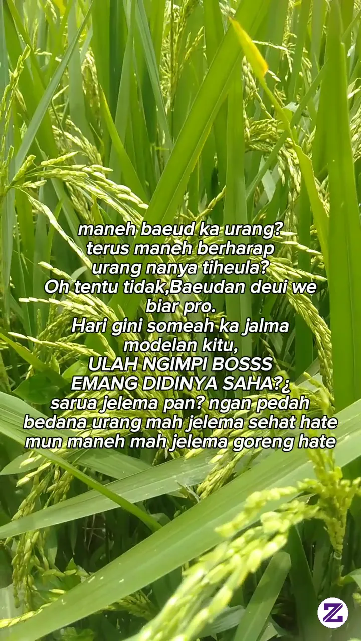 Ulah Ngimpi Bos,,