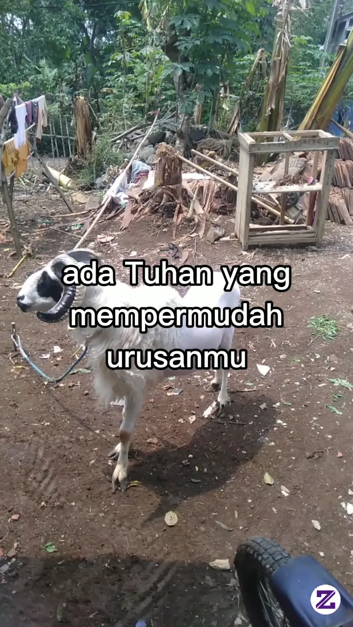 Percaya Aja
