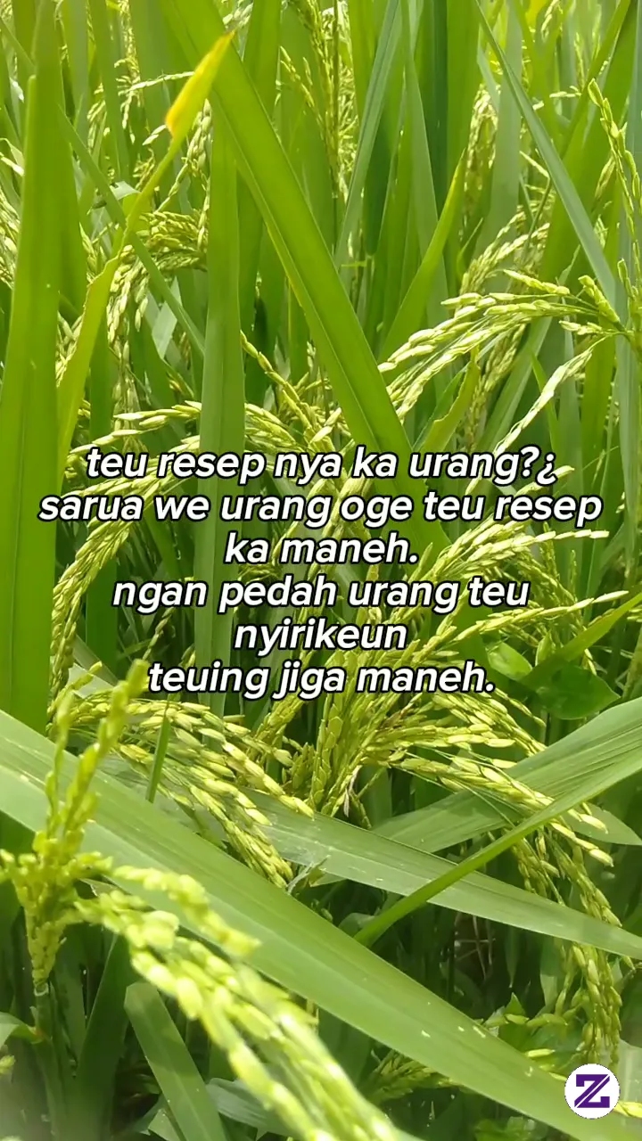 Maneh Teu Resep Ka Urang?