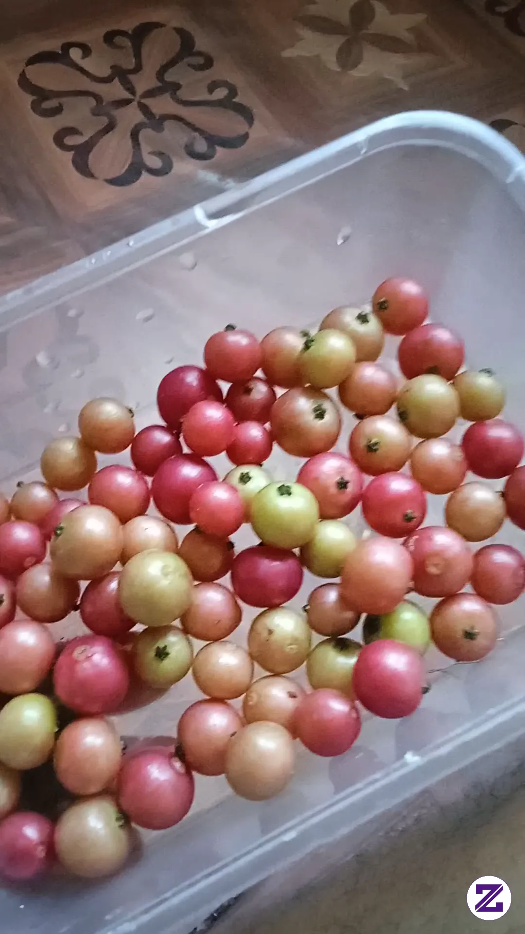 Did You Know What Kind Of Fruit Is This?
