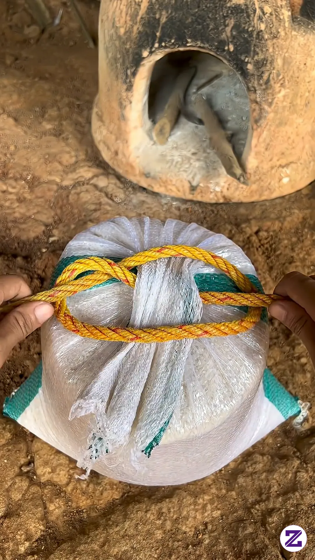Ini Adalah Simpul Tali Yang Harus Kalian Ketahui