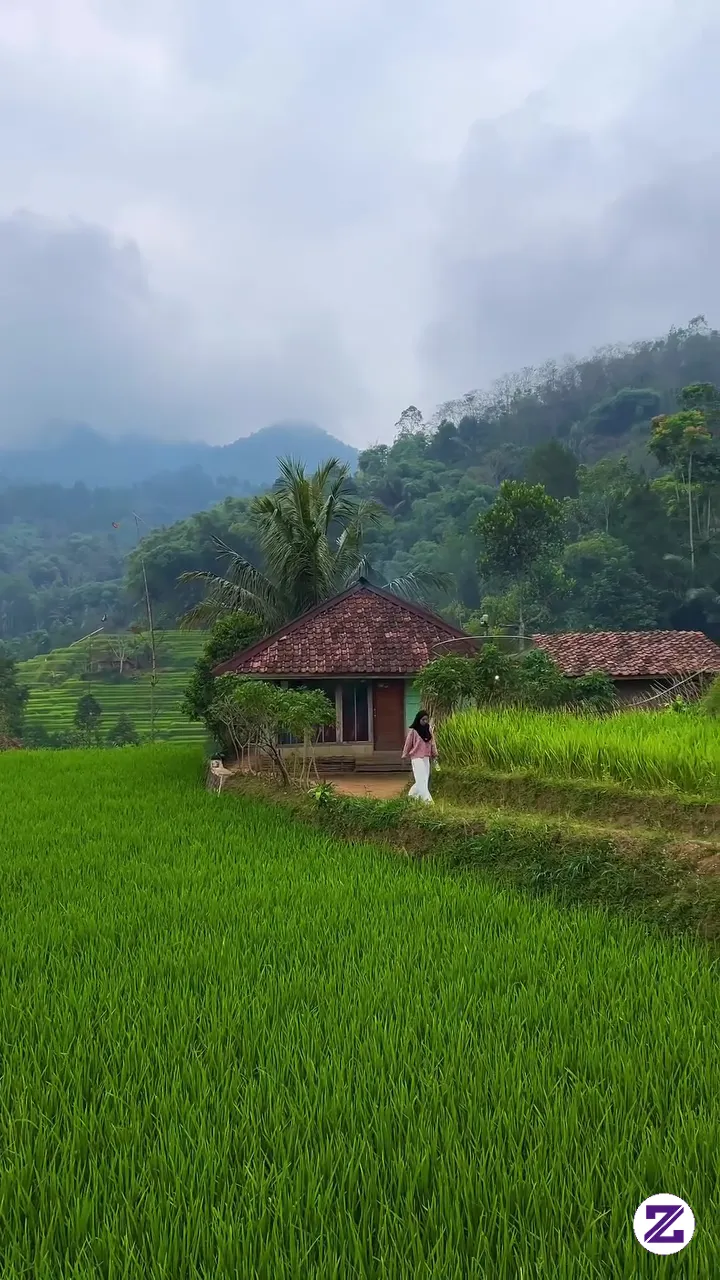 Rumah Ditengah Sawah Yang NyAman