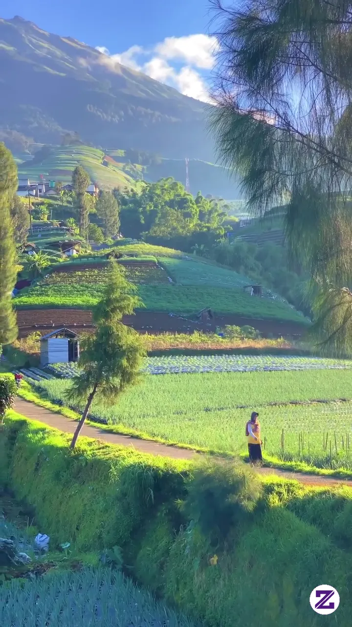 Vibe Pedesaan Dengan View Gunung Sumbing