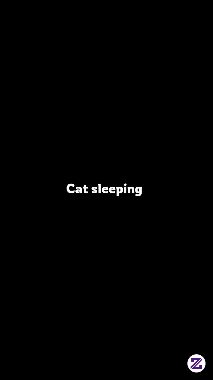 Kumpulan Kucing Tidur Nyenyak Yang Bikin GemesKumpulan Kucing Tidur Nyenyak