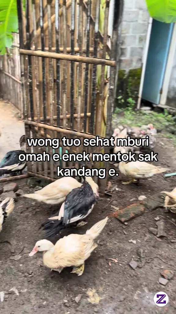 Mboten Muluk2 Gusti