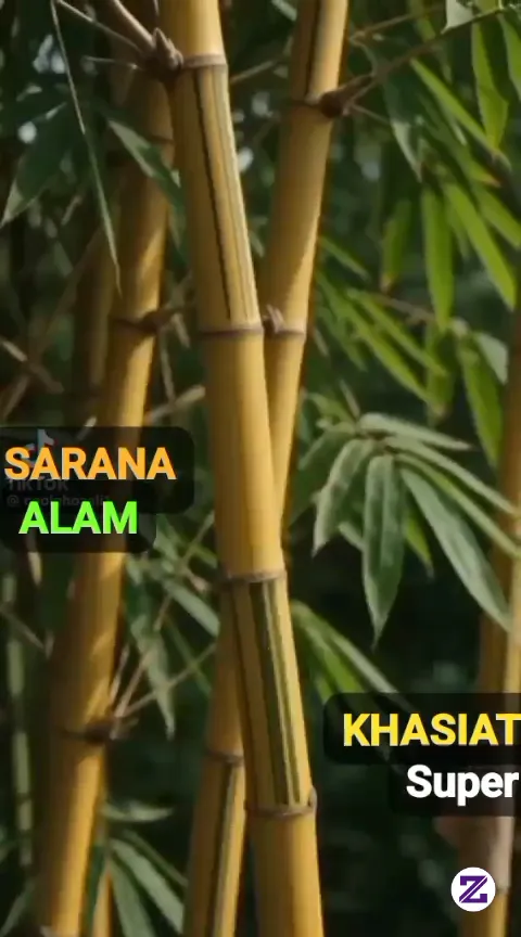 Alam Yang Penuh Kesyahduan