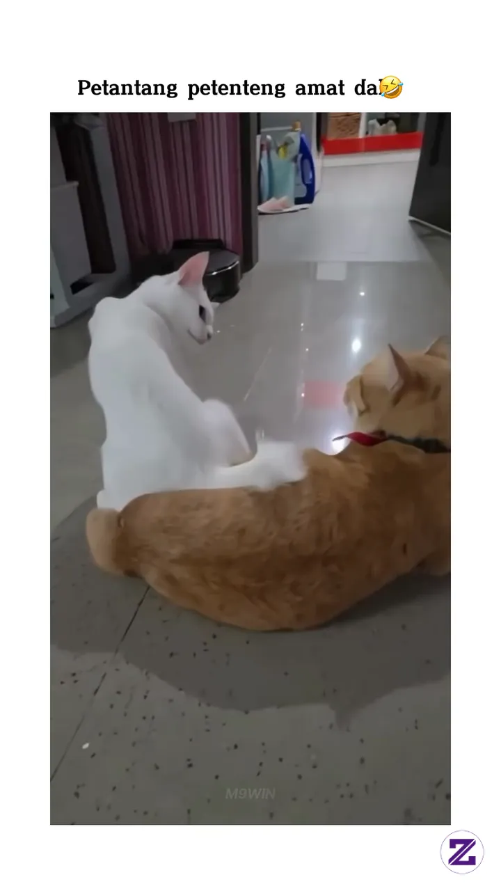 Oyen Malas Menanggapi
