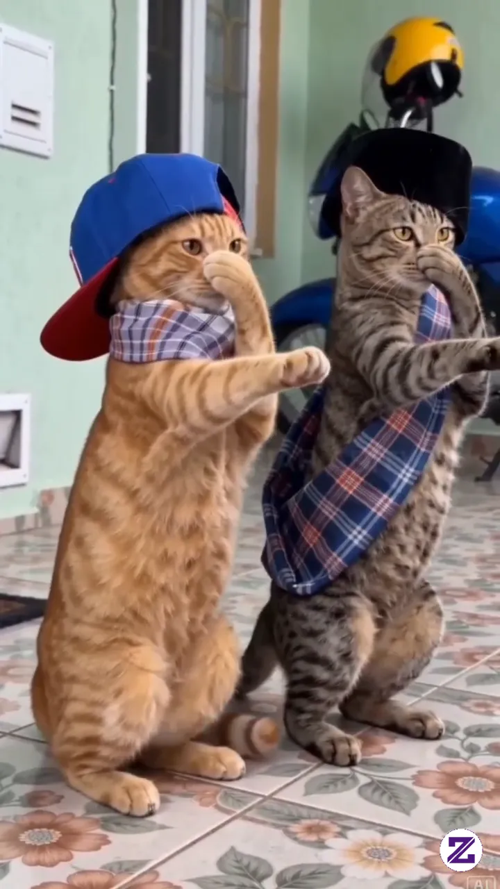 Kuching Khicaww