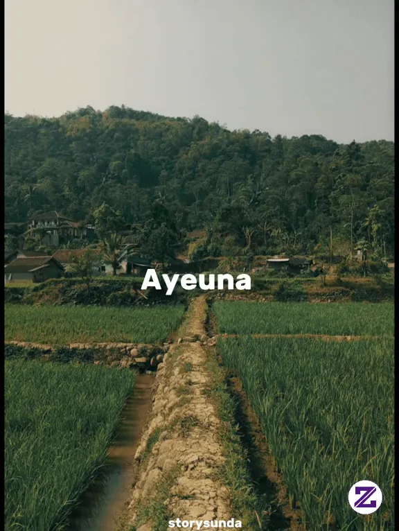 Kata Kata Motivasi Hh🤣 - Umum - Ridwan Juliadi