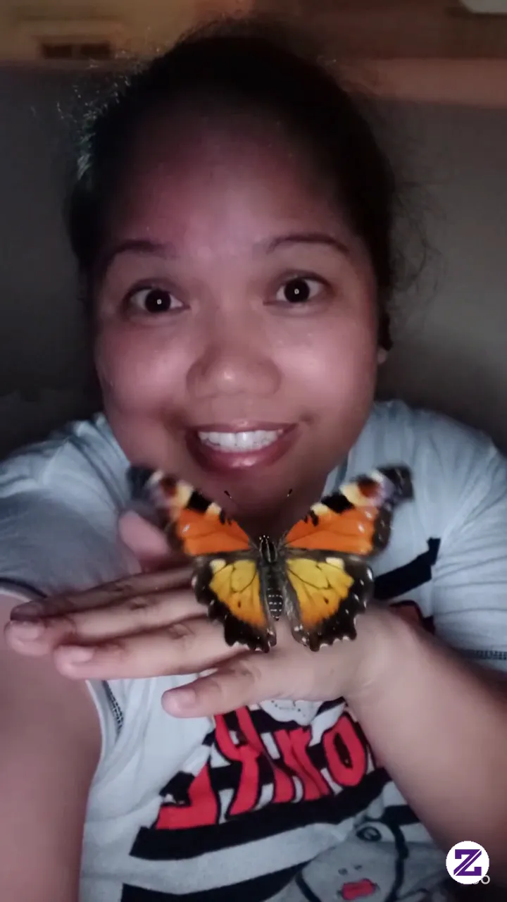 Cute Butterfly ☺️