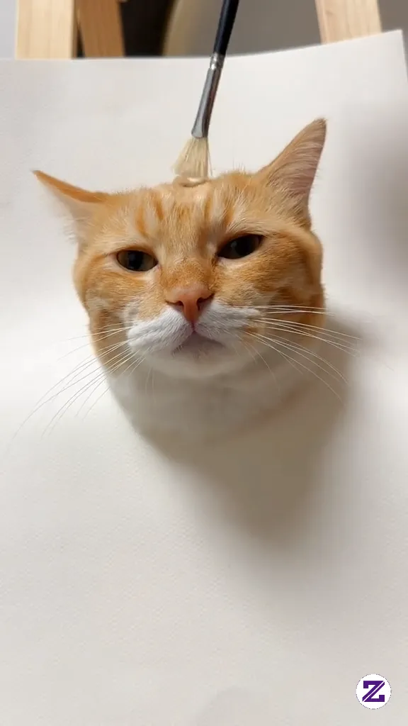 Cat Lucu SaNgat