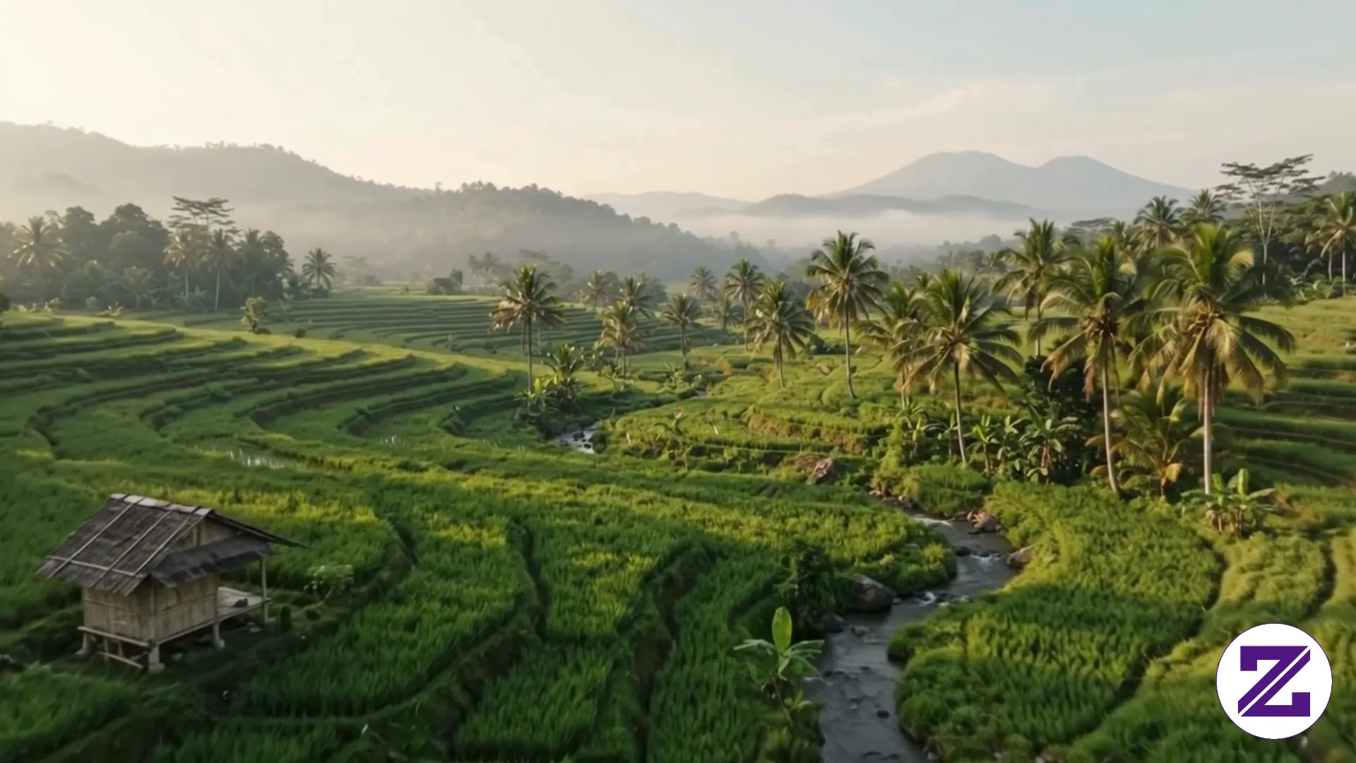 🌿💧 Nikmati Suara Aliran Air Yang Menenangkan Di Tengah Hamparan Sawah
