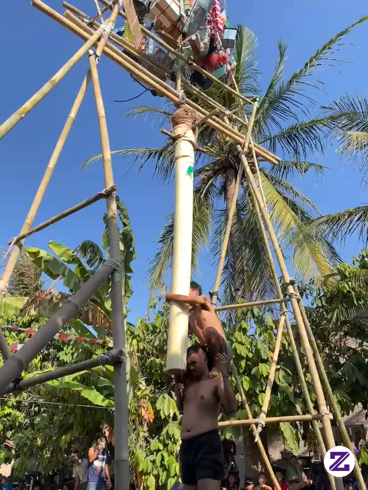 Keseruan Lomba Agustusan Kemarin Panjat Pohon Pisang 😂