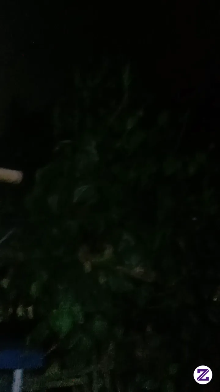 Ada Penampakan Kun.....