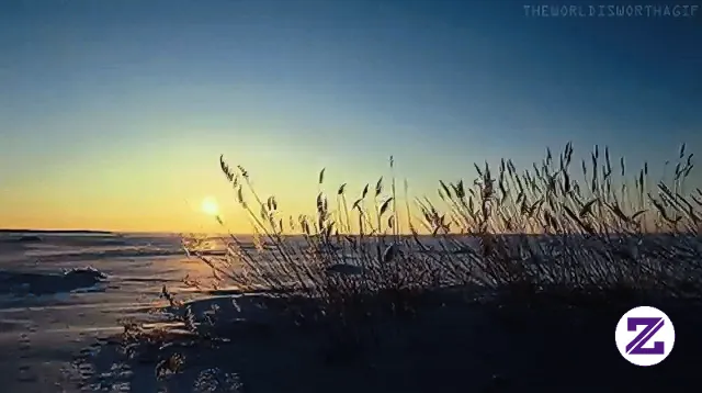 ASMR Laut Di Senja Hari Ini