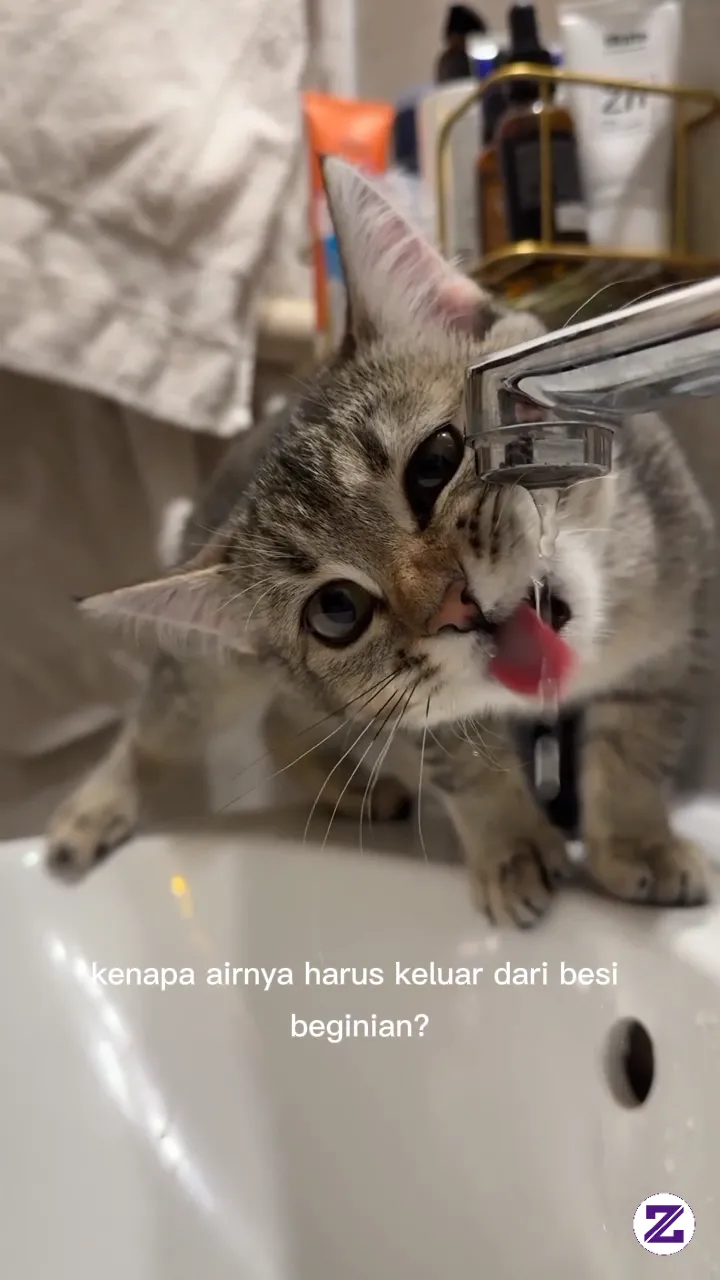 Sangat Haus Gaes..