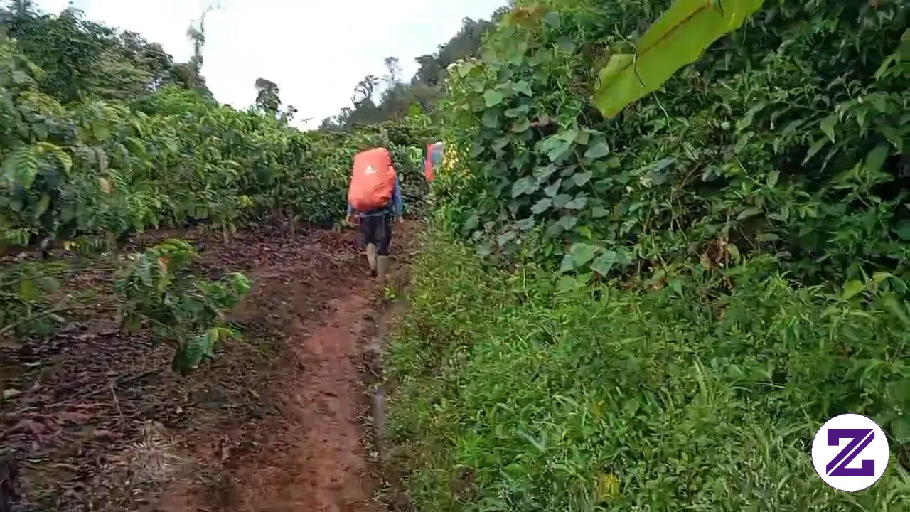 Mendaki Gunung Patah Via Semende Pagaralam