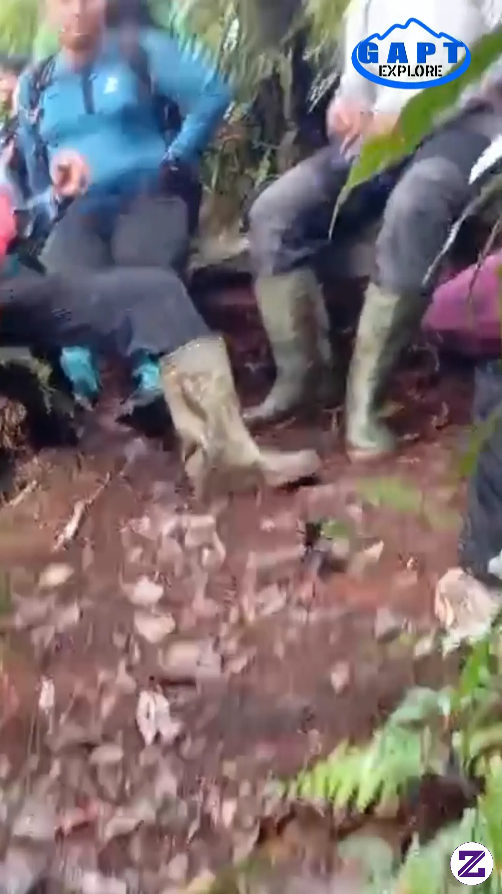 Pos 1 Pendakian Gunung Patah Via Semende Pagaralam