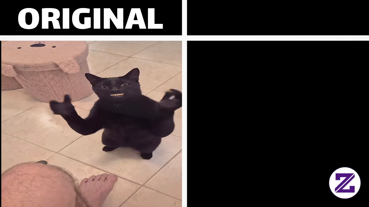 Cat Clapping Hand Original Vs Meme #viral #fyp #zoyalink