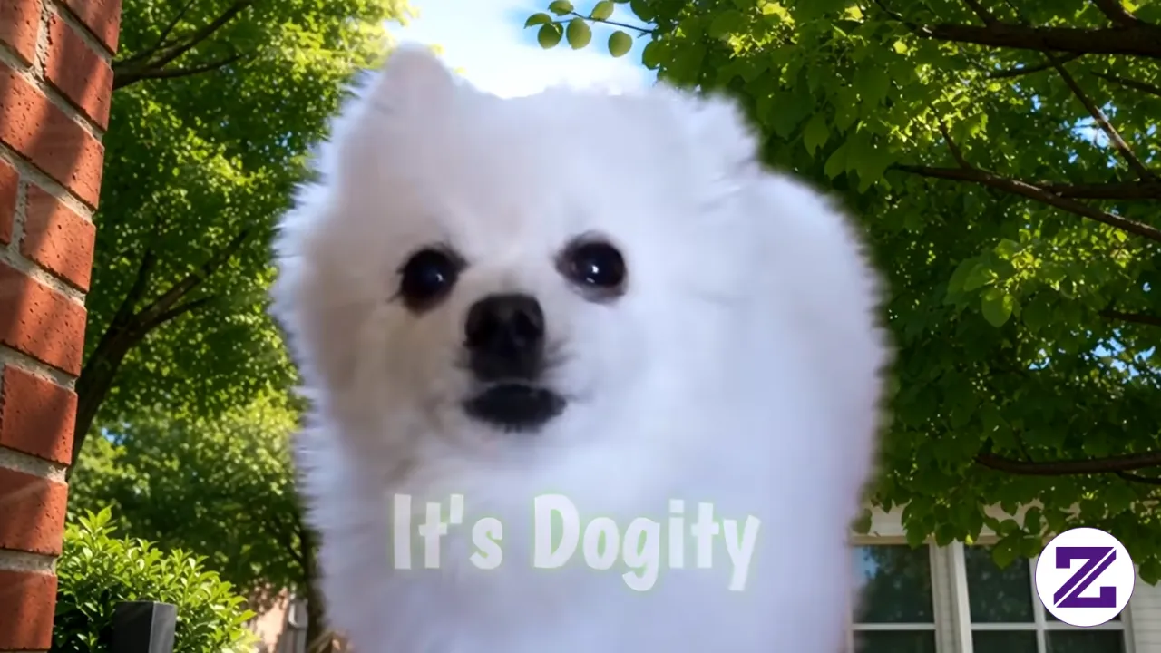 It's Me, It's Dogity. Video Viral Dari Rapid Liquid, Sudah Ditonton 4,2 Jt Kali