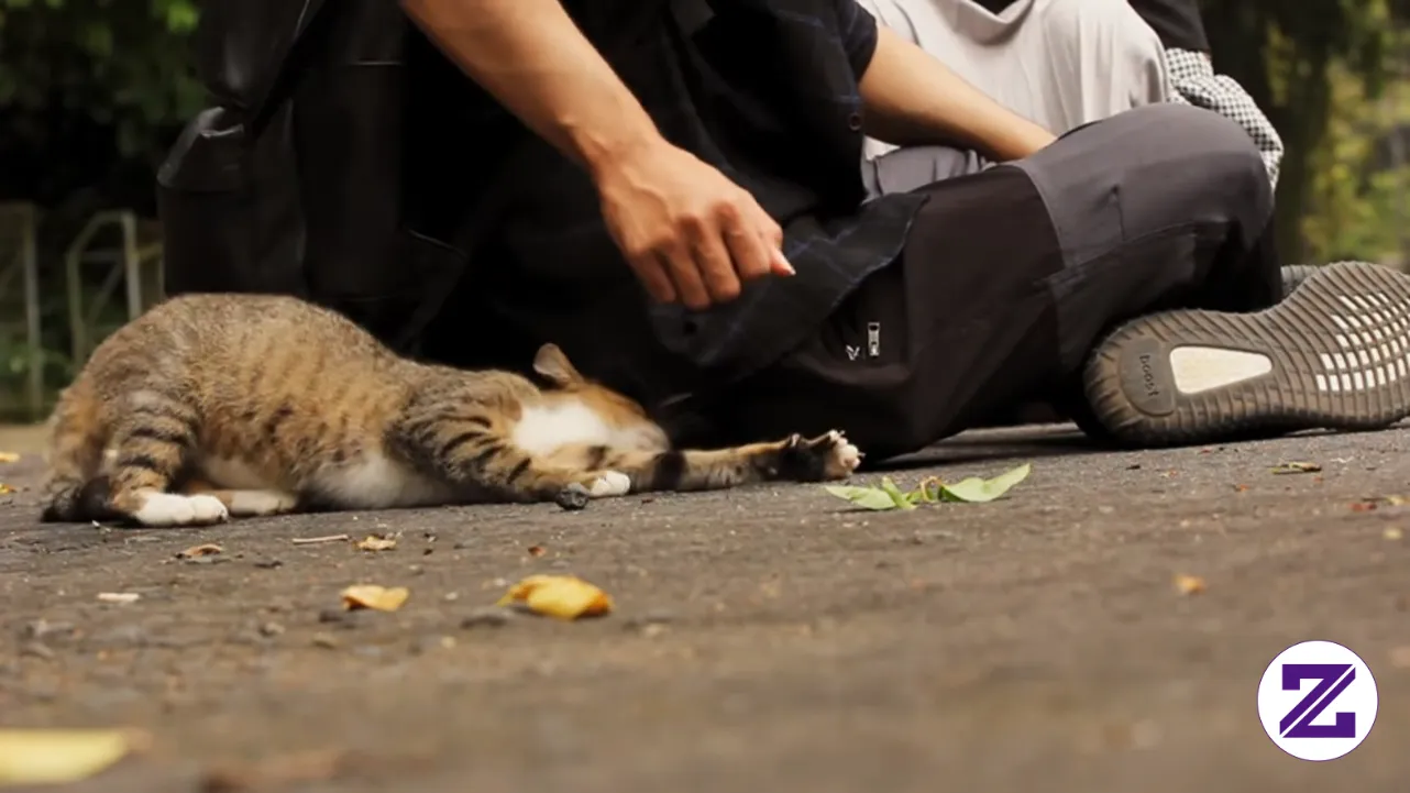 Andra And Billy. Video Viral Dari Joaquim Baeta. Bagikan Ke Temanmu & Follow Ya!