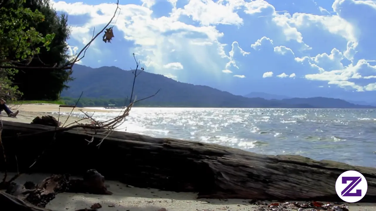 A Happy Dog On A Papuan Beach. Video Viral Dari Joaquim Baeta. Selamat Menonton.