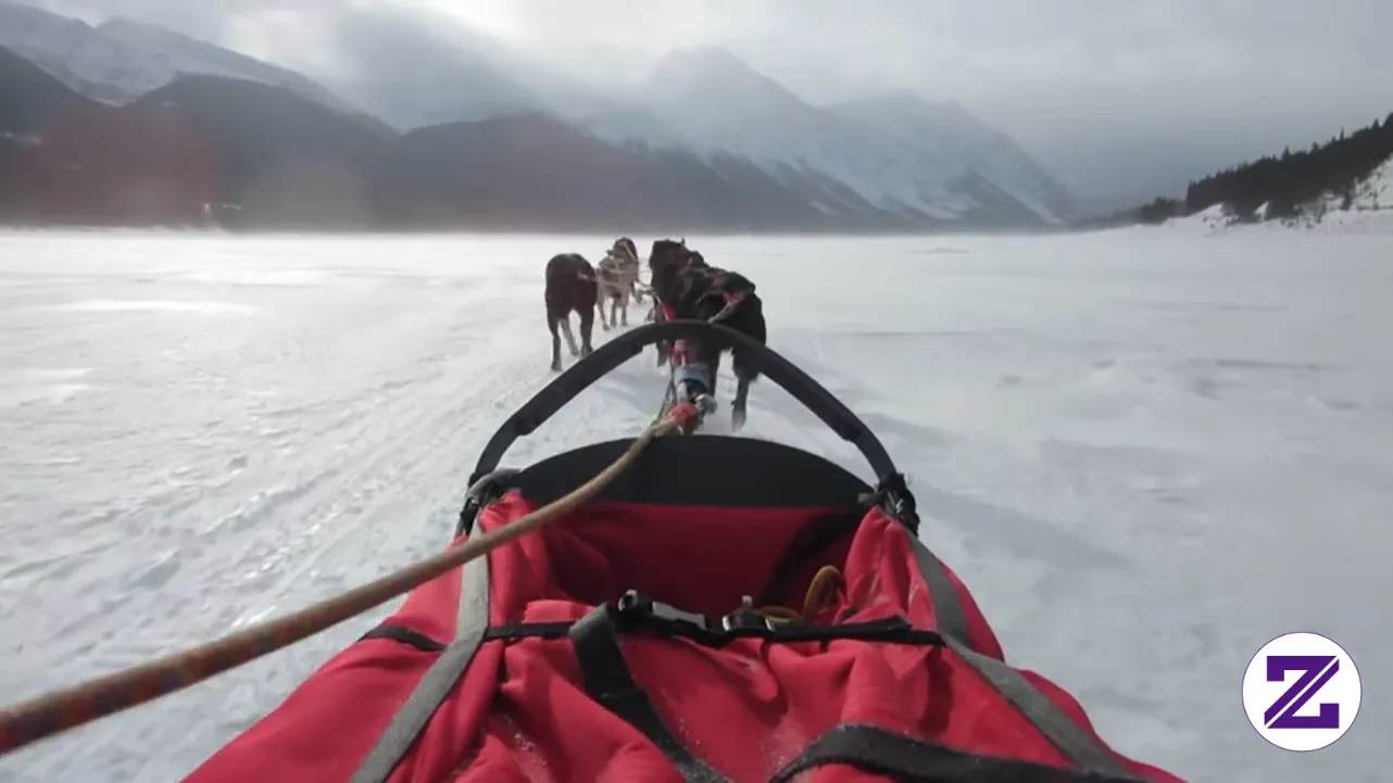 Dogs Pulling A Sled. Video Viral Dari Jan Mosimann. Jangan Lupa Like & Follow.