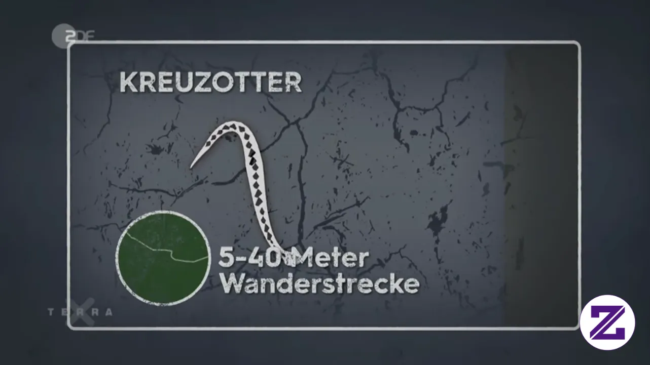 Eingeschrankter Lebensraum Der Wildtiere. Like, Share & Follow Untuk Update Ya!