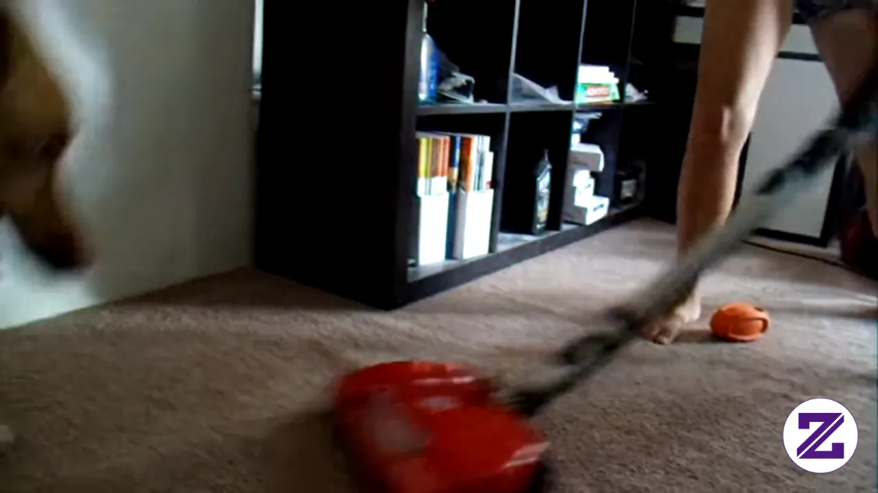 Vacuuming With Snickerdoodle (GEDC2330). Like & Follow Untuk Video Seru Lainnya.