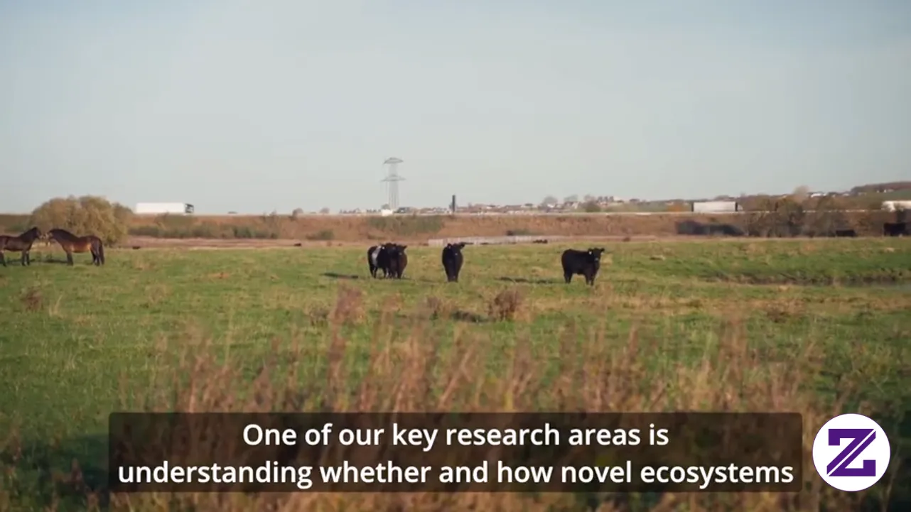 ECONOVO - Center For Ecological Dynamics In A Novel Biosphere. Selamat Menonton.
