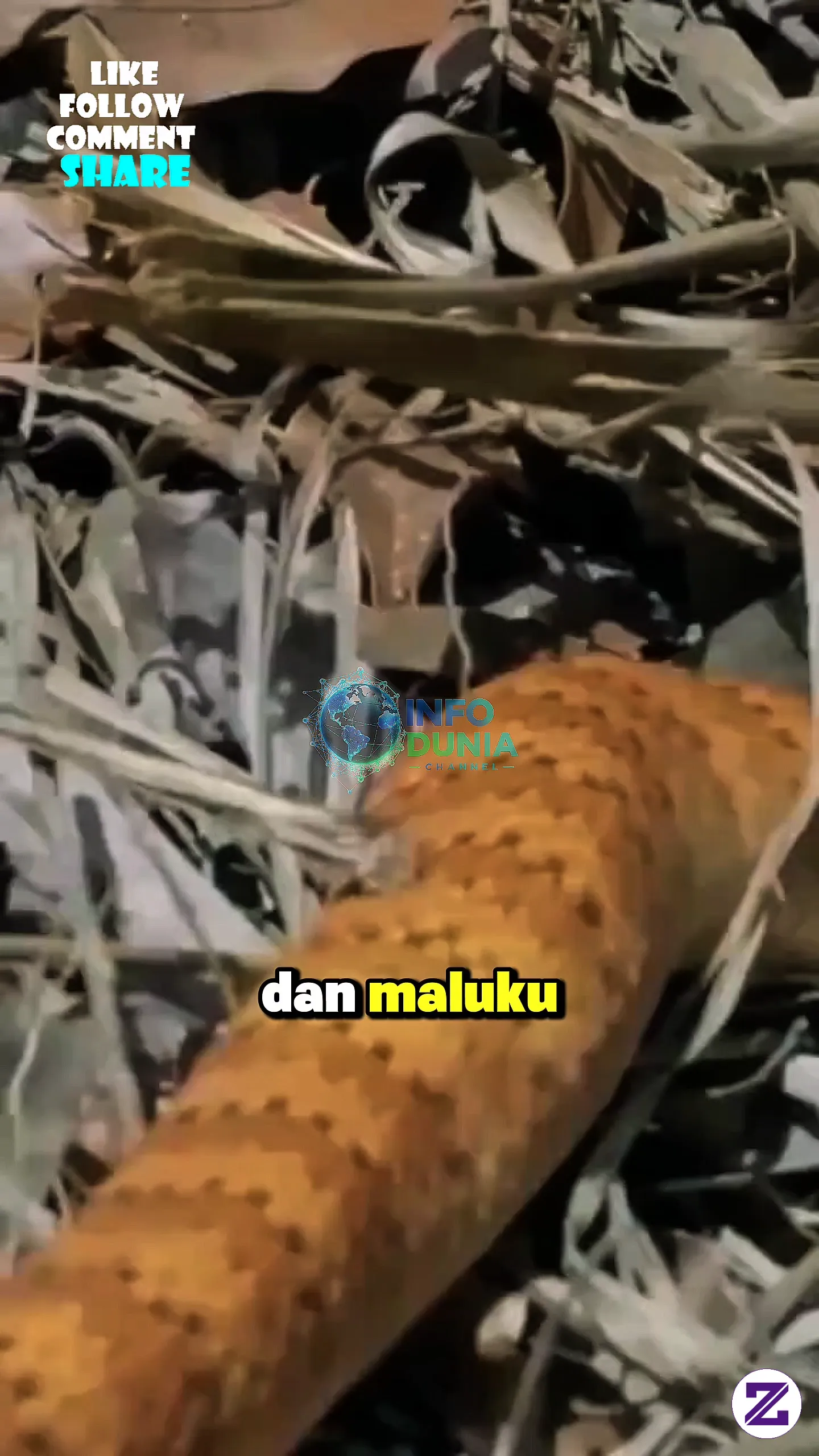 🐍☠️ ULAR INI BISA BERSEMBUNYI DI DEPAN MATA TANPA KAMU SADARI! 😱