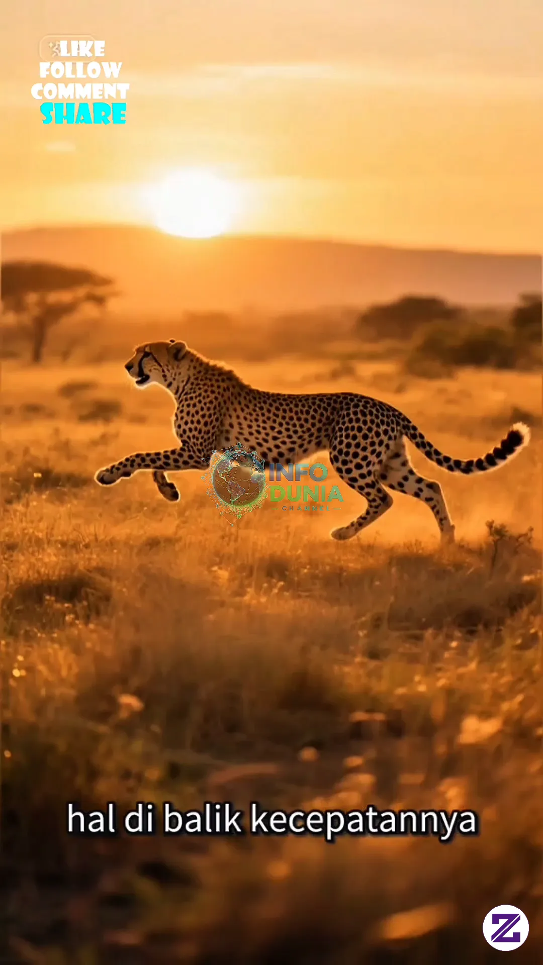 🐆💨 Bayangkan Ada Hewan Yang Mampu Berlari Lebih Cepat Daripada Mobil Yang