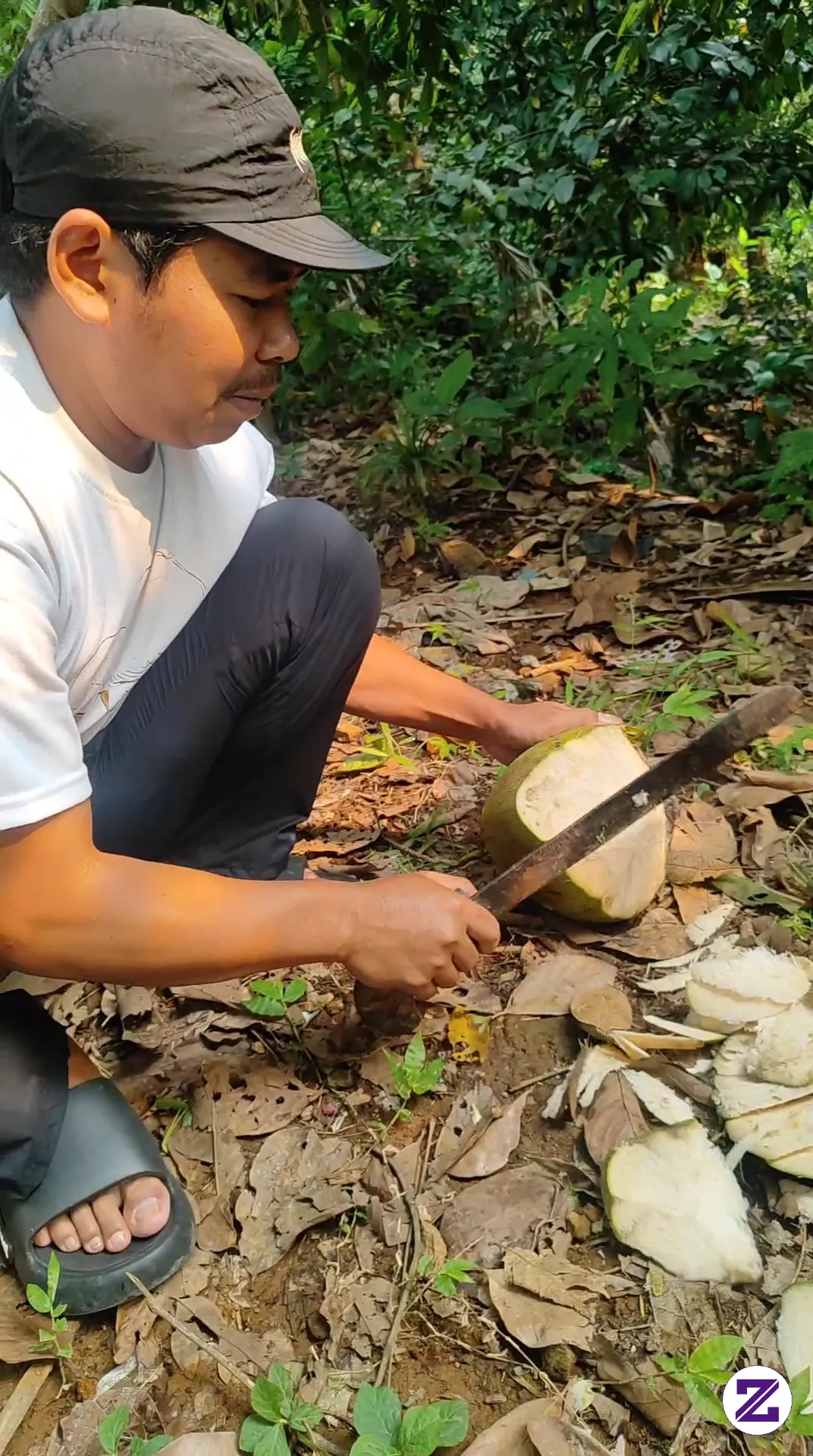 Kegiatan Hari Ini, Kita Ngerujak Kelapa Di Kebun Uwa Entur Ya Gusy, Yu Siapa