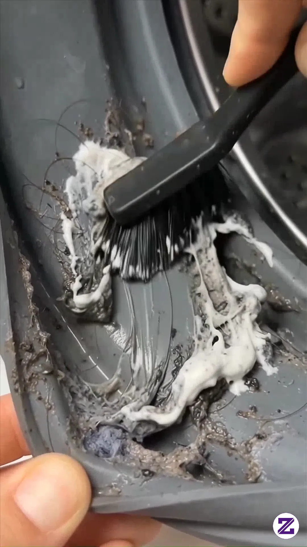 Your Washing Machine Is Dirtier Than You Think 🤢🧼"