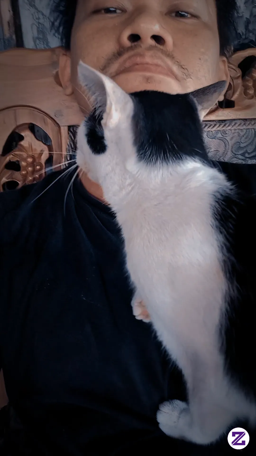 Si Kucing Bernama "Oleng" , Hobbynya Ngalem Karna Ada Maunya