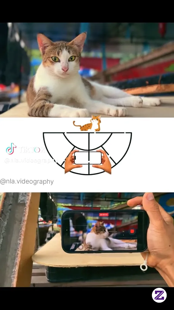 Lewulu Sew