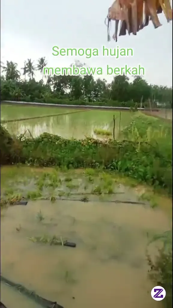 Alhamdulillah, Hujan Kembali Membasahi Bumi. 🌧️