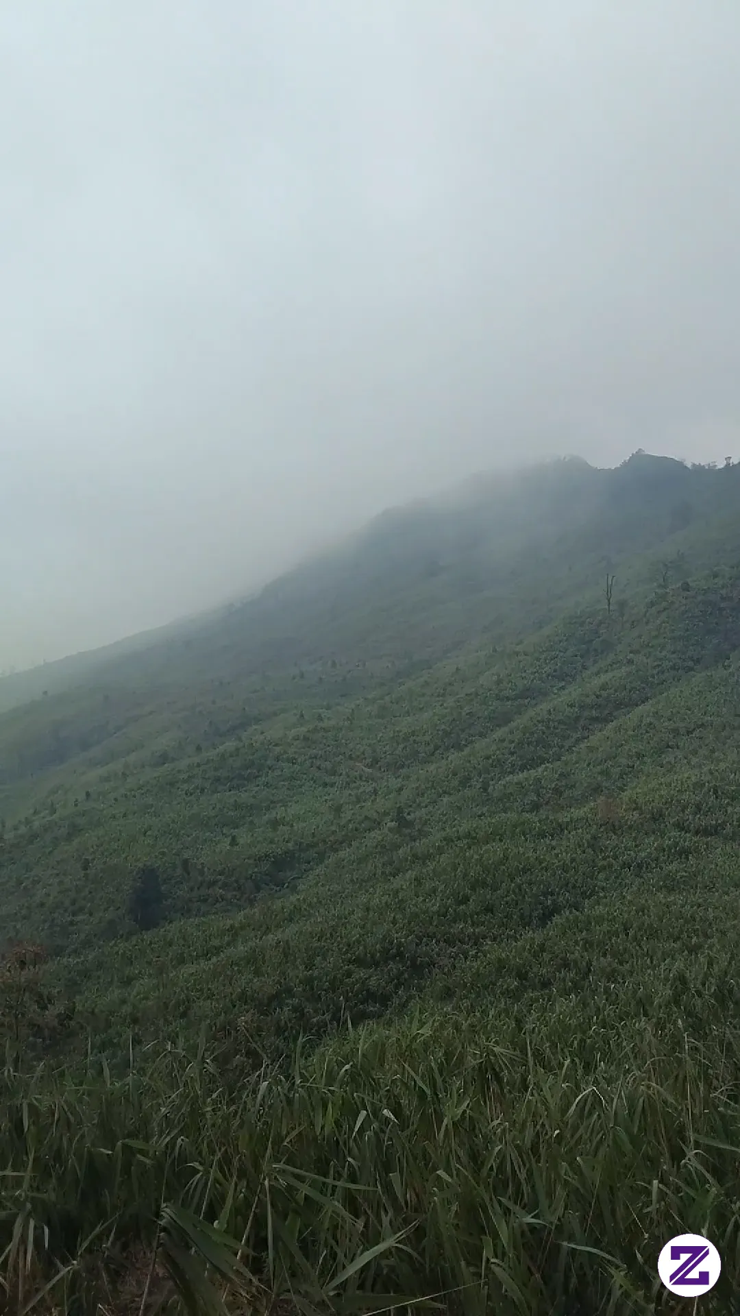 Mountain Views Beautiful
